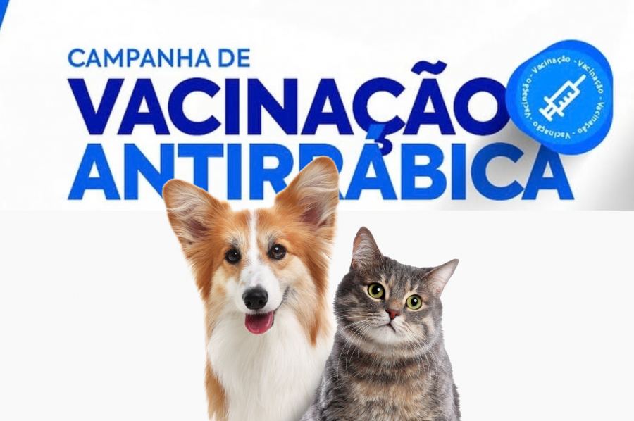 Campanha de Vacinação Antirrábica 2026 começa em Assunção do Piauí