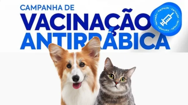 Campanha de Vacinação Antirrábica 2026 começa em Assunção do Piauí