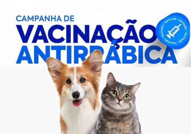 Campanha de Vacinação Antirrábica 2026 começa em Assunção do Piauí